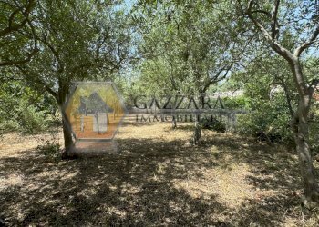 Foto 35 - Terreno agricolo C.da Palombara
 
sn, Canicattini Bagni - foto 35