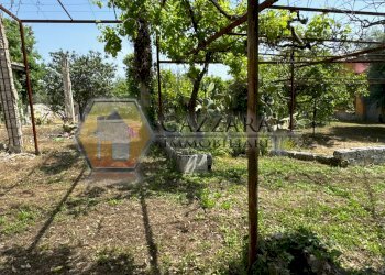 Foto 40 - Terreno agricolo C.da Palombara
 
sn, Canicattini Bagni - foto 40