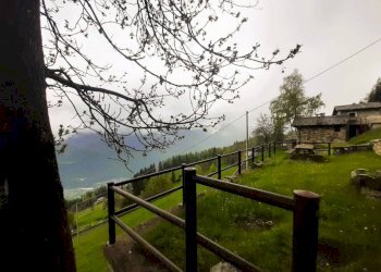 Terreno - Rustico Boirolo, Tresivio - foto 7