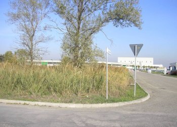 Zona - Terreno edificabile via alessandro volta, Medicina - foto 4