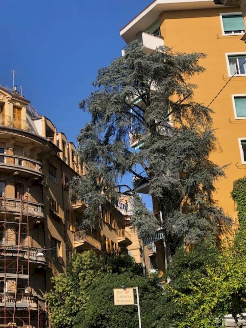 appartamento in vendita genova centro via peschier - Trilocale via Peschiera, Genova - foto 2