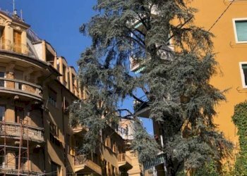 appartamento in vendita genova centro via peschier - Trilocale via Peschiera, Genova - foto 2