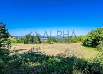 Terreno - Villa via Nazionale, Dovadola - foto 28