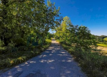 Terreno - Villa via Nazionale, Dovadola - foto 29