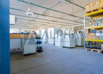 Magazzino - Capannone via Nazionale, Dovadola - foto 6