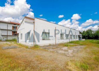 Terreno - Capannone via Vecchianino, Predappio - foto 3