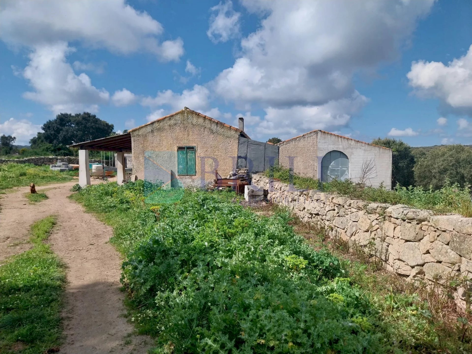 Casale Luras - foto 1