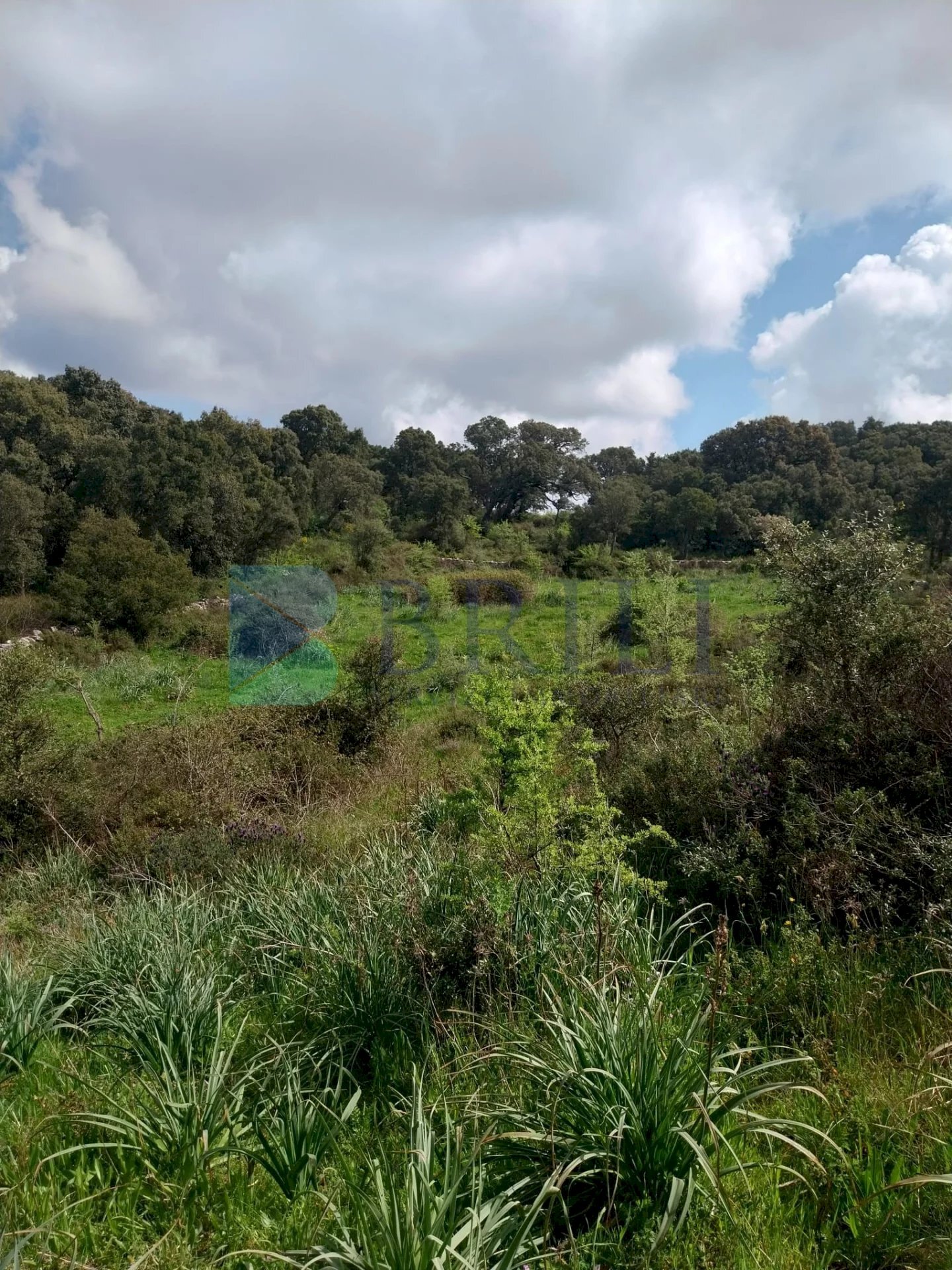 Casale Luras - foto 2