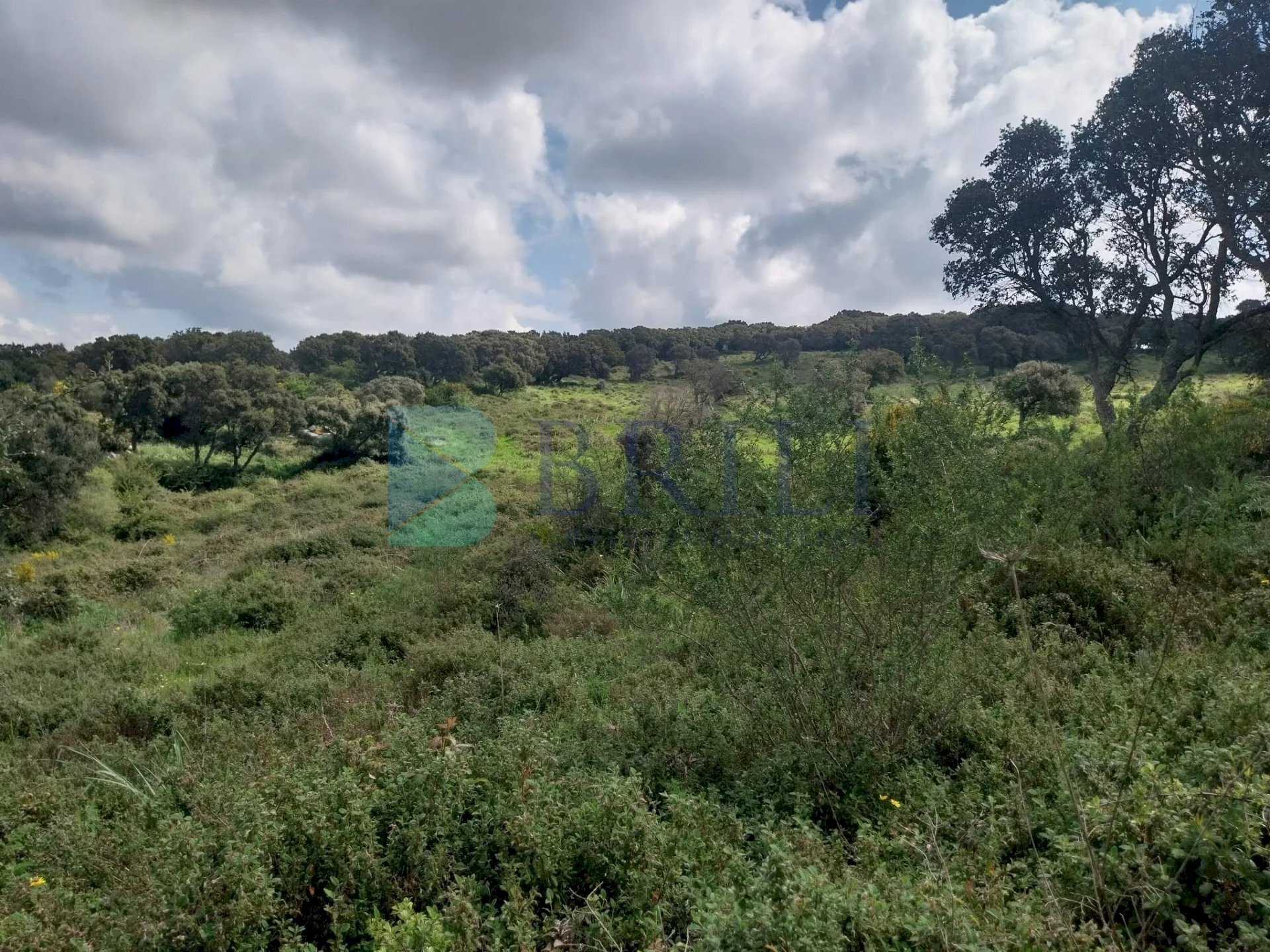 Casale Luras - foto 3