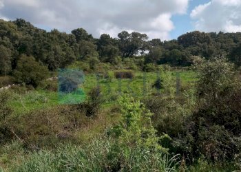 Casale Luras - foto 2