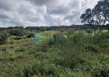 Casale Luras - foto 3