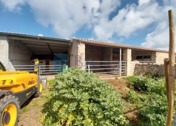 Casale Luras - foto 7