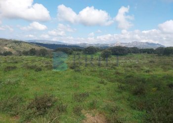 Casale Luras - foto 11