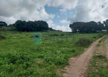 Casale Luras - foto 12