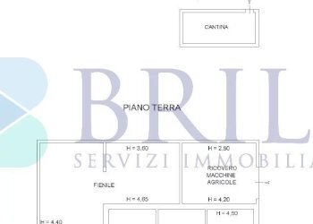 Casale Luras - foto 19