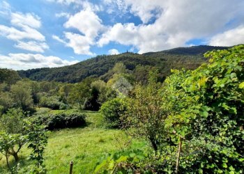 Villa Frazione Bottini, Forno Canavese - foto 18