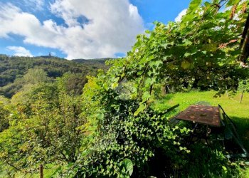 Villa Frazione Bottini, Forno Canavese - foto 34