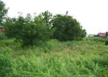 Building land Rivalta di Torino - photo 10