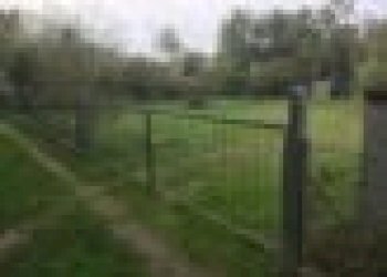 Terreno agricolo Ravenna - foto 1