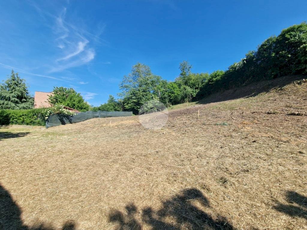 Terreno edificabile Via Alfieri, Cellarengo - foto 2
