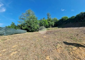 Terreno edificabile Via Alfieri, Cellarengo - foto 7