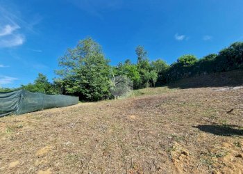 Terreno edificabile Via Alfieri, Cellarengo - foto 14