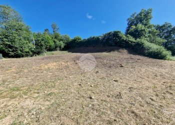 Terreno edificabile Via Alfieri, Cellarengo - foto 18