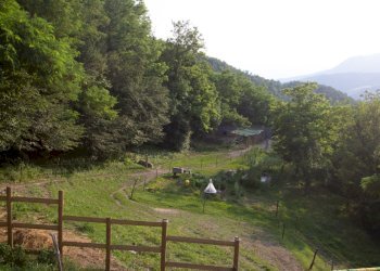 Independent house Travo - photo 7