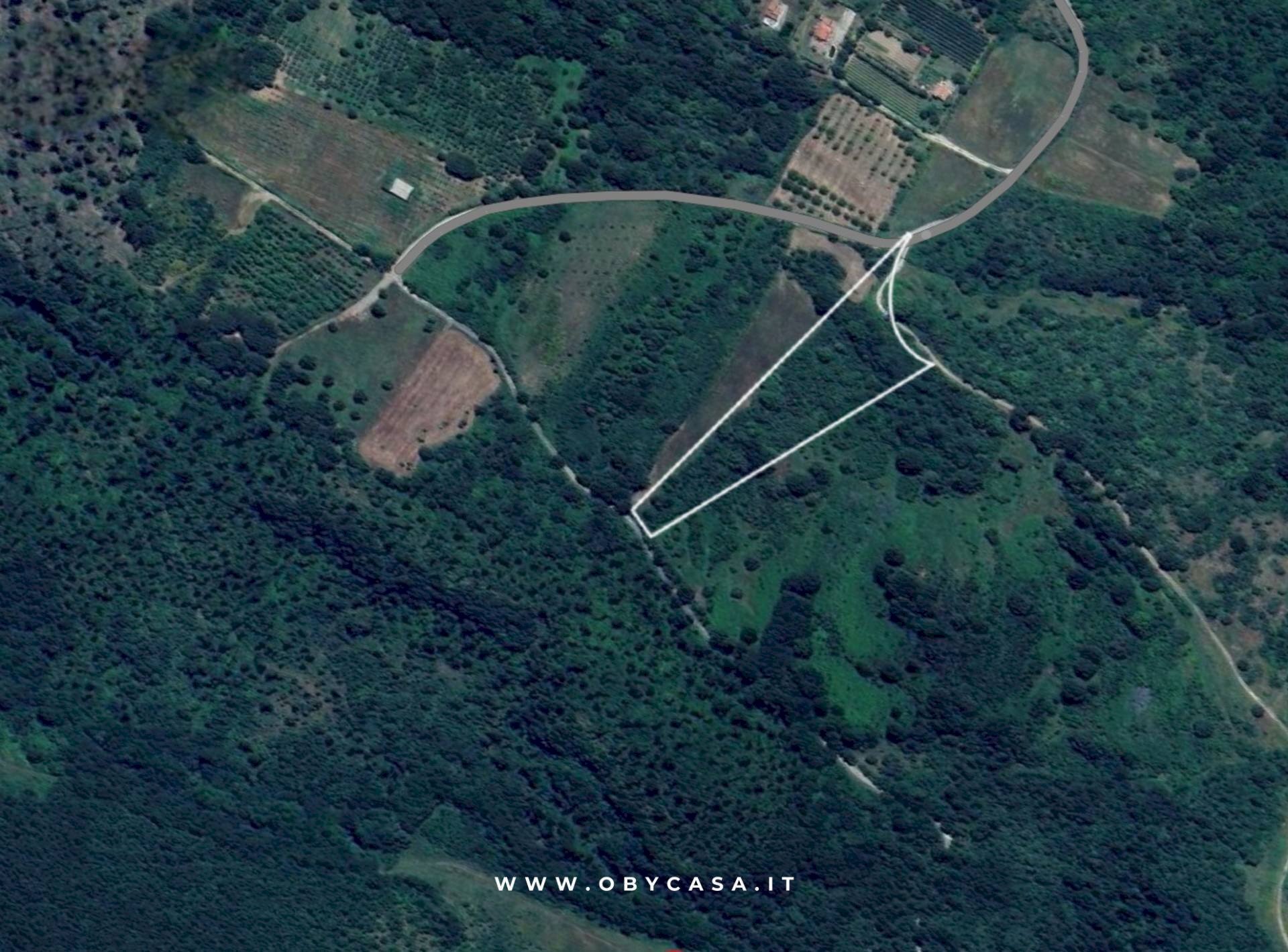 Foto 1 - Terreno agricolo Oriolo Romano, Oriolo Romano - foto 1