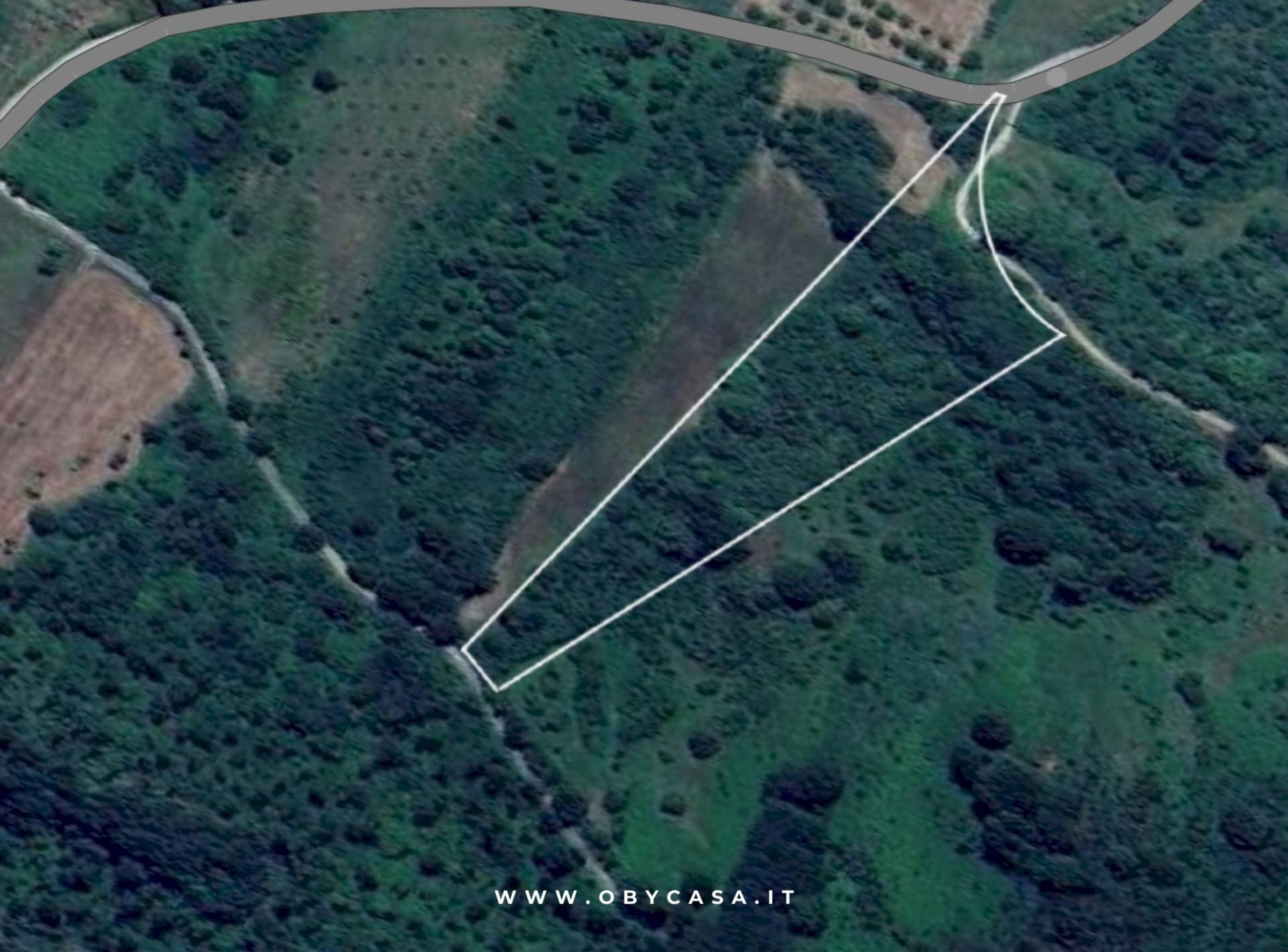 Foto 2 - Terreno agricolo Oriolo Romano, Oriolo Romano - foto 2