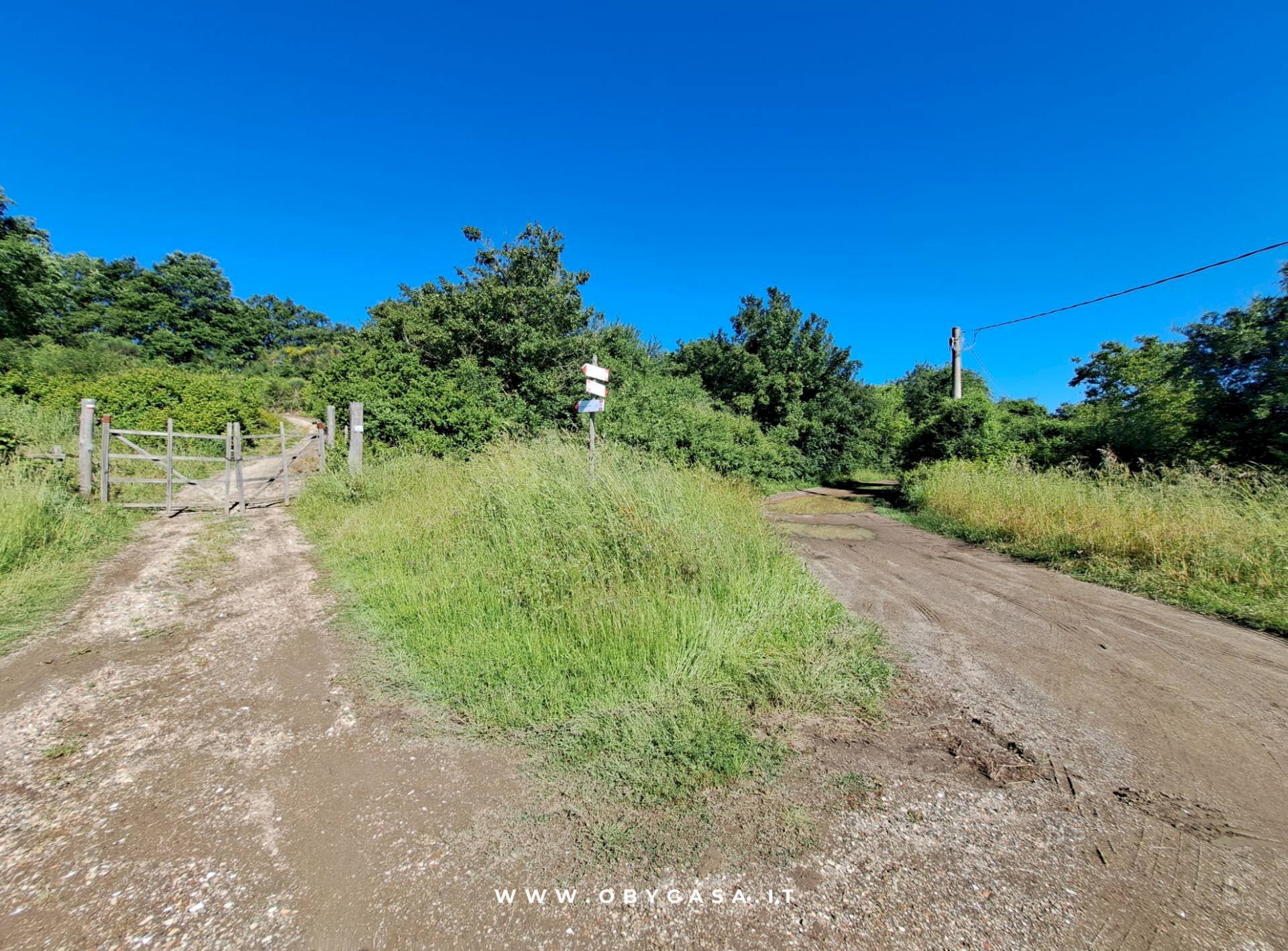 Foto 3 - Terreno agricolo Oriolo Romano, Oriolo Romano - foto 3