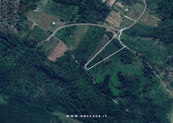 Foto 1 - Terreno agricolo Oriolo Romano, Oriolo Romano - foto 1