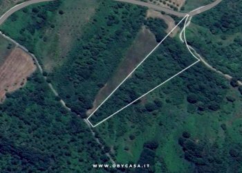 Foto 2 - Terreno agricolo Oriolo Romano, Oriolo Romano - foto 2