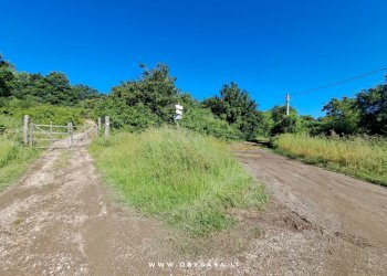 Foto 3 - Terreno agricolo Oriolo Romano, Oriolo Romano - foto 3