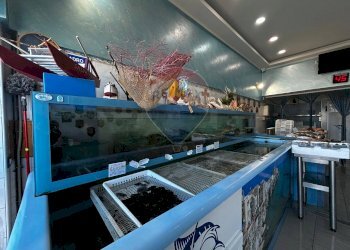 interno - Locale Commerciale Lungomare Europa
 
18, Vieste - foto 8