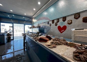 interno - Locale Commerciale Lungomare Europa
 
18, Vieste - foto 9