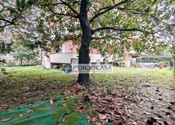 giardino - Appartamento Via Vittorio Veneto
 
3, Massa - foto 34