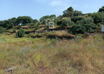 Foto 9 - Terreno agricolo via Sclafani
 
23, Acireale - foto 9