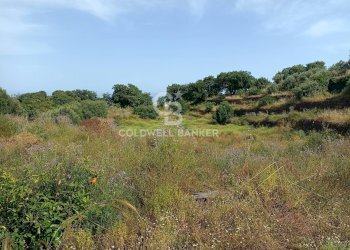 Foto 10 - Terreno agricolo via Sclafani
 
23, Acireale - foto 10