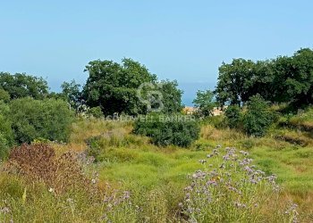 Foto 11 - Terreno agricolo via Sclafani
 
23, Acireale - foto 11