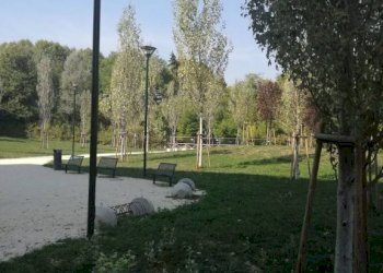 Terreno - Bilocale via Avellino, 23, Torino (zona Borgo Vittoria) - foto 30