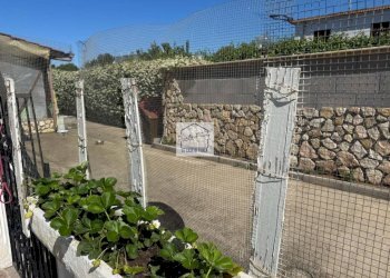 Giardino - Villa via degli Olivi, Ardea - foto 33