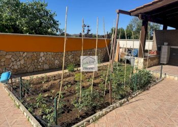 Giardino - Villa via degli Olivi, Ardea - foto 34