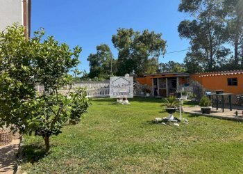 Giardino - Villa via degli Olivi, Ardea - foto 36