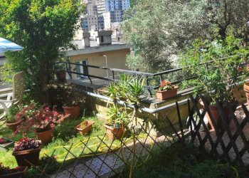 Terrazzo - Appartamento via Giulio Tanini, Genova (zona Borgoratti) - foto 13