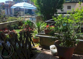 Terrazzo - Appartamento via Giulio Tanini, Genova (zona Borgoratti) - foto 39