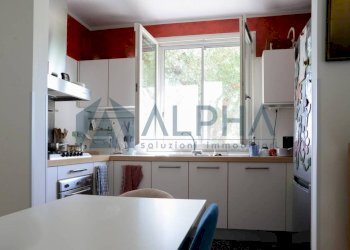 Cucina - Casa indipendente via Primo Targhini, Cesena - foto 6