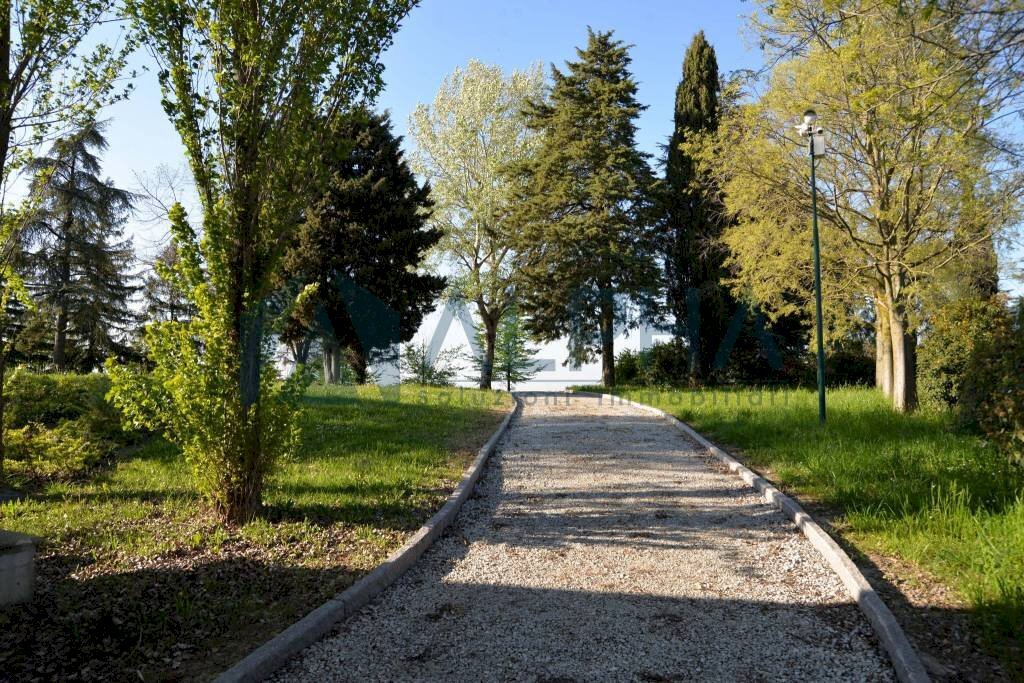 Terreno - Villa via Falconara, Cesena - foto 3