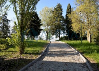 Terreno - Villa via Falconara, Cesena - foto 3