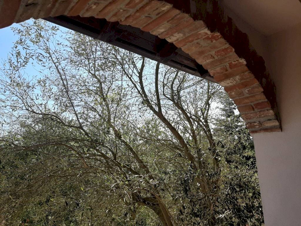 Interno palazzo - Rustico Regione Baldizzone, 8, Terzo - foto 3